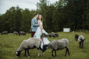 Май 2019. Фотосъемка в кантри клабе Поляна  с овечками.